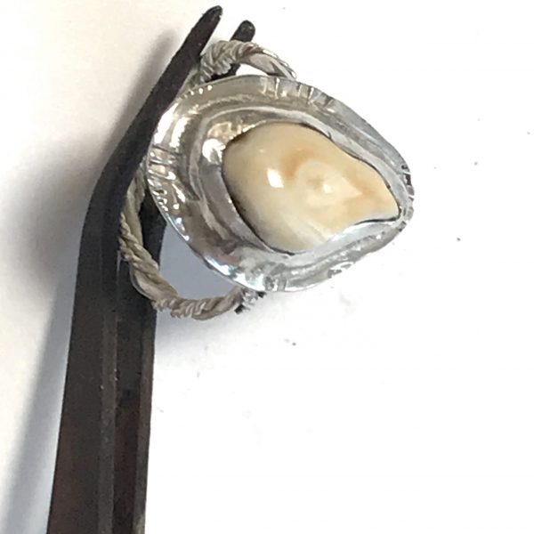 Elk Ivory ring Photo 7