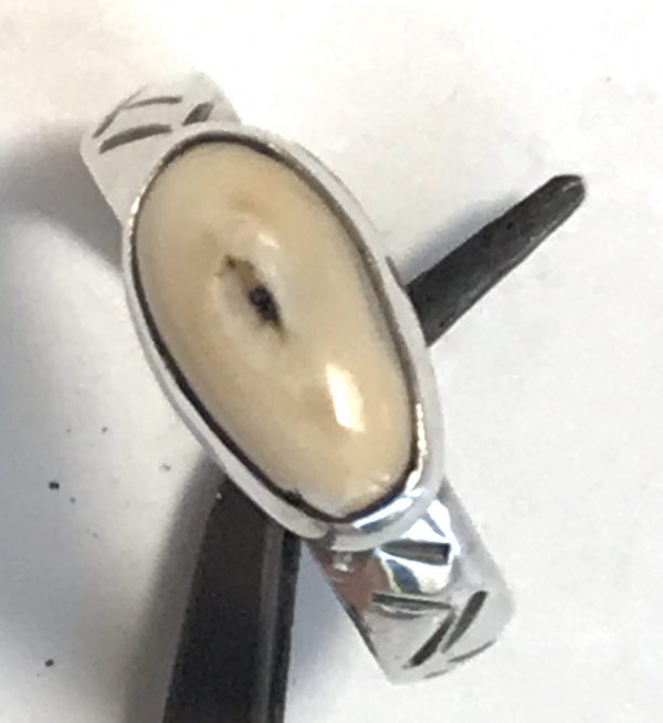 Elk Ivory ring Photo 8