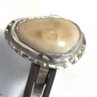 Elk Ivory ring Photo 2