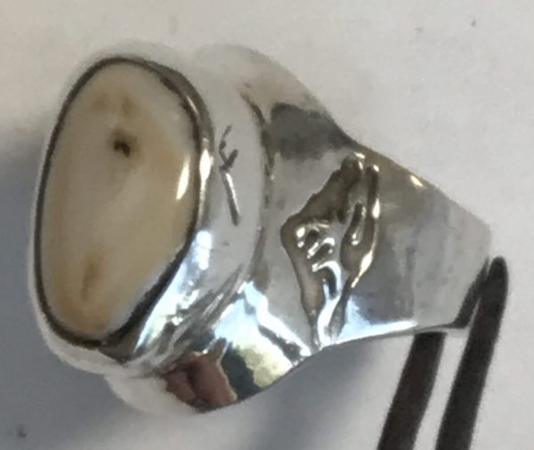 Elk Ivory ring Photo 13