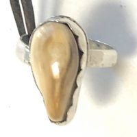 Elk Ivory ring Photo 14