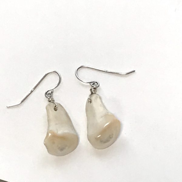 Photo of Elk Ivory earrings